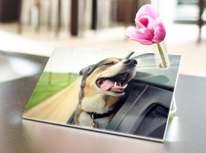 Bild von   acrylglas vasejpg | Individuelle 🎁 persönliche 🎁 personalisierte Geschenke bedruckt ▪ bestickt ▪ graviert