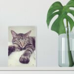 🖼️ 108077-1-acryl-bilderrahmen-10x15.jpg | Individuelle 🎁 persönliche 🎁 personalisierte Geschenke bedruckt ▪ bestickt ▪ graviert Bild von   acryl bilderrahmen xjpg | Individuelle 🎁 persönliche 🎁 personalisierte Geschenke bedruckt ▪ bestickt ▪ graviert