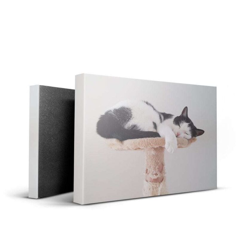 Bild von   fotoleinwand x cmjpg | Individuelle 🎁 persönliche 🎁 personalisierte Geschenke bedruckt ▪ bestickt ▪ graviert