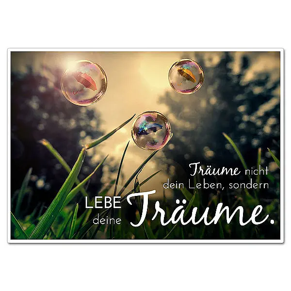 Bild von   schild mit spruch lebe deinejpg | Individuelle 🎁 persönliche 🎁 personalisierte Geschenke bedruckt ▪ bestickt ▪ graviert