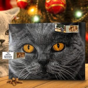 Katzen-Adventskalender mit Foto