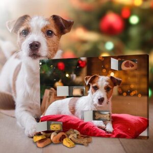 "Hunde-Adventskalender ""Leckerli"""