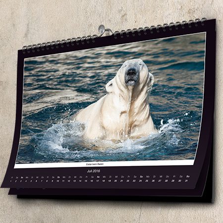 Bild von   kalender eisbaeren fotokalenjpg | Individuelle 🎁 persönliche 🎁 personalisierte Geschenke bedruckt ▪ bestickt ▪ graviert