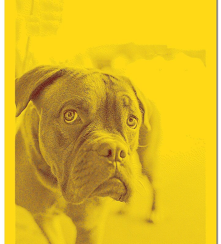 Bild von   strickdecke  farb hundedeckejpg | Individuelle 🎁 persönliche 🎁 personalisierte Geschenke bedruckt ▪ bestickt ▪ graviert