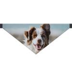 🖼️ 205253-1-hundehalstuch-mit-foto-und-nam.jpg | Individuelle 🎁 persönliche 🎁 personalisierte Geschenke bedruckt ▪ bestickt ▪ graviert Bild von hundehalstuch mit foto und namjpg | Individuelle 🎁 persönliche 🎁 personalisierte Geschenke bedruckt ▪ bestickt ▪ graviert