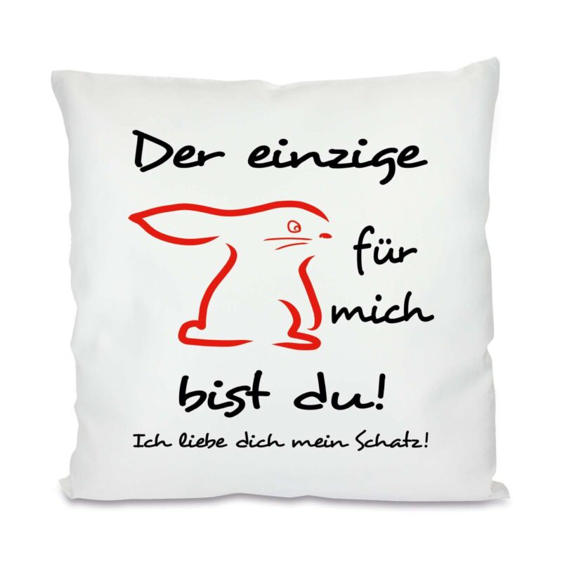 Bild von   kissen mit motiv modell der ejpg | Individuelle 🎁 persönliche 🎁 personalisierte Geschenke bedruckt ▪ bestickt ▪ graviert