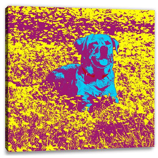 Bild von   pop art  warhol pure  wujpg | Individuelle 🎁 persönliche 🎁 personalisierte Geschenke bedruckt ▪ bestickt ▪ graviert
