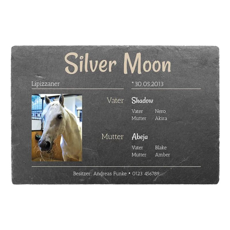 Bild von   boxenschild fuer ihr pferd ausjpg | Individuelle 🎁 persönliche 🎁 personalisierte Geschenke bedruckt ▪ bestickt ▪ graviert