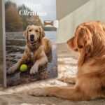 🖼️ 332951-1-adventskalender-fuer-hunde-p.jpg | Individuelle 🎁 persönliche 🎁 personalisierte Geschenke bedruckt ▪ bestickt ▪ graviert Bild von   adventskalender fuer hunde pjpg | Individuelle 🎁 persönliche 🎁 personalisierte Geschenke bedruckt ▪ bestickt ▪ graviert