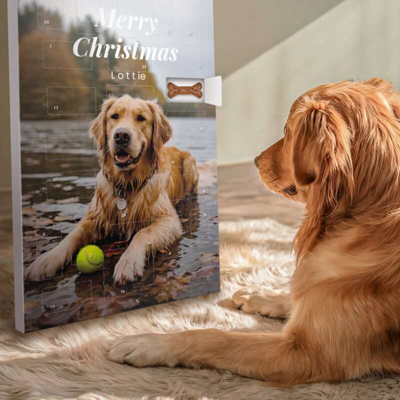 Adventskalender für hunde - Pedigree