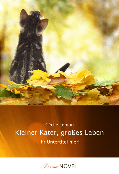 Bild von   kleiner kater grosses lebenpng | Individuelle 🎁 persönliche 🎁 personalisierte Geschenke bedruckt ▪ bestickt ▪ graviert
