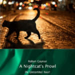 🖼️ 335508-1-a-nightcats-prowl.png | Individuelle 🎁 persönliche 🎁 personalisierte Geschenke bedruckt ▪ bestickt ▪ graviert Bild von a nightcats prowlpng | Individuelle 🎁 persönliche 🎁 personalisierte Geschenke bedruckt ▪ bestickt ▪ graviert