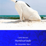 Bild von   hundsurlaubpng | Individuelle 🎁 persönliche 🎁 personalisierte Geschenke bedruckt ▪ bestickt ▪ graviert