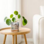 Bild von   blumentopf mit foto   x jpg | Individuelle 🎁 persönliche 🎁 personalisierte Geschenke bedruckt ▪ bestickt ▪ graviert