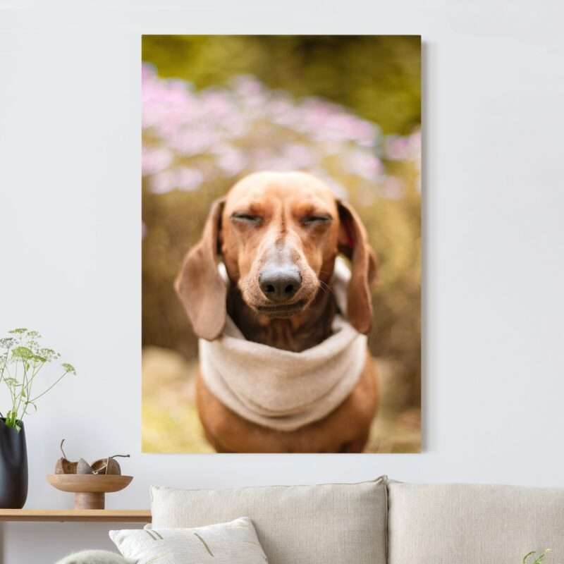 Bild von   akustikbild von dir personalisjpg | Individuelle 🎁 persönliche 🎁 personalisierte Geschenke bedruckt ▪ bestickt ▪ graviert