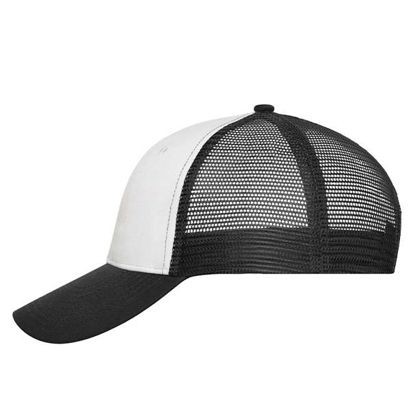 6 Panel Mesh Cap