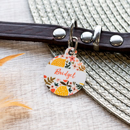 Bild von   anhaenger fuer tierhalsband knjpg | Individuelle 🎁 persönliche 🎁 personalisierte Geschenke bedruckt ▪ bestickt ▪ graviert