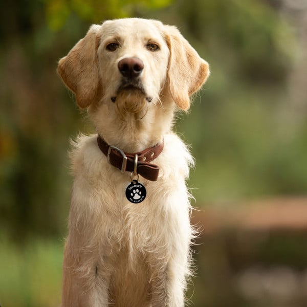 Hundemarke rund (Gravurmaß Ø 23 mm)