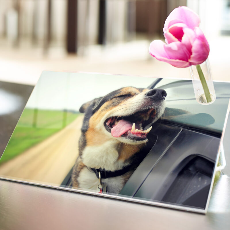 Bild von   acrylglas vasejpg | Individuelle 🎁 persönliche 🎁 personalisierte Geschenke bedruckt ▪ bestickt ▪ graviert