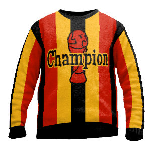 Bild von   pullover fussball championjpg | Individuelle 🎁 persönliche 🎁 personalisierte Geschenke bedruckt ▪ bestickt ▪ graviert