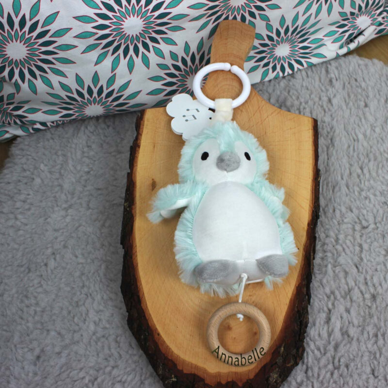 Bild von   spieluhr pinguin mit personalijpg | Individuelle 🎁 persönliche 🎁 personalisierte Geschenke bedruckt ▪ bestickt ▪ graviert