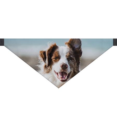 Bild von   hundehalstuch mit foto und namjpg | Individuelle 🎁 persönliche 🎁 personalisierte Geschenke bedruckt ▪ bestickt ▪ graviert
