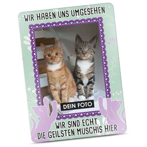 Bild von   katzenschild die geilste musjpg | Individuelle 🎁 persönliche 🎁 personalisierte Geschenke bedruckt ▪ bestickt ▪ graviert