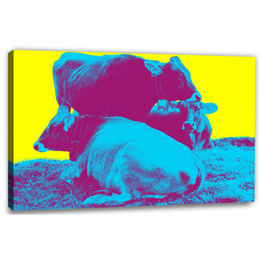Bild von   pop art  warhol plus  wljpg | Individuelle 🎁 persönliche 🎁 personalisierte Geschenke bedruckt ▪ bestickt ▪ graviert