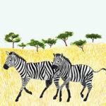 Bild von   mynamebookjpg | Individuelle 🎁 persönliche 🎁 personalisierte Geschenke bedruckt ▪ bestickt ▪ graviert