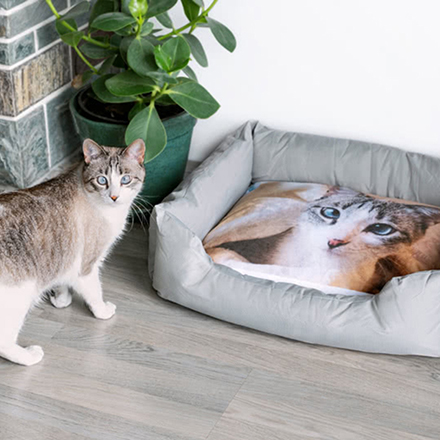 Bild von   tierbett personalisiert xjpg | Individuelle 🎁 persönliche 🎁 personalisierte Geschenke bedruckt ▪ bestickt ▪ graviert