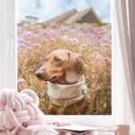 Bild von   fensterfolie fensterbild selbsjpg | Individuelle 🎁 persönliche 🎁 personalisierte Geschenke bedruckt ▪ bestickt ▪ graviert