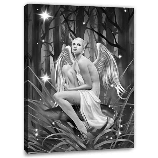 Bild von   fantasie portrait edles elfejpg | Individuelle 🎁 persönliche 🎁 personalisierte Geschenke bedruckt ▪ bestickt ▪ graviert